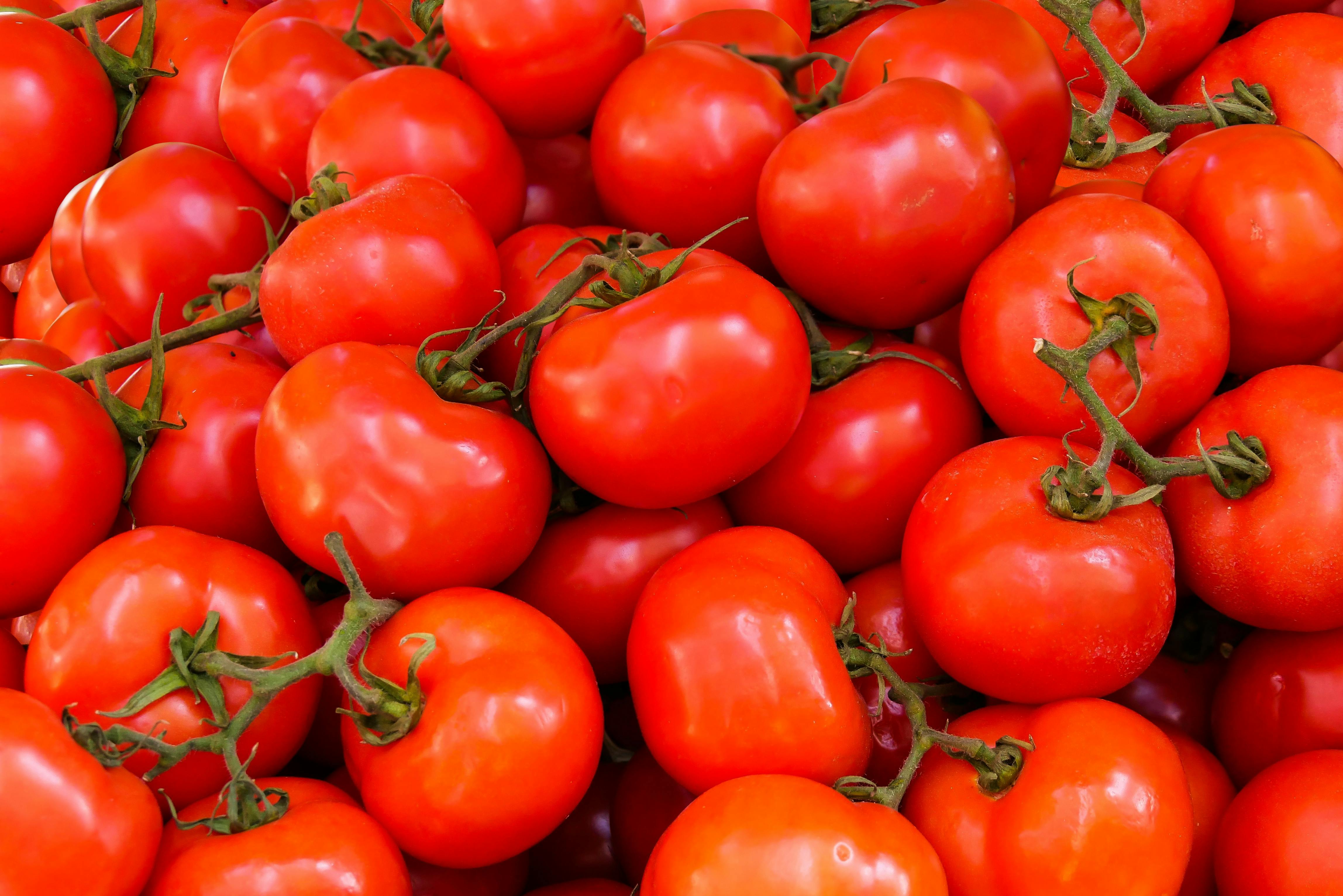 Organic Tomatoes